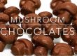 How to make mushroom chocolate bars